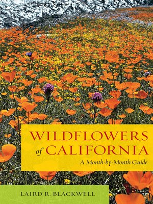 cover image of Wildflowers of California